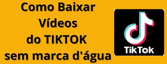 Snaptik para download TikTok na prática